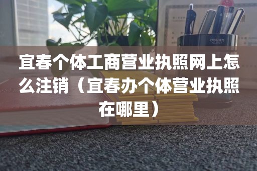宜春个体工商营业执照网上怎么注销(宜春办个体营业执照在哪里)