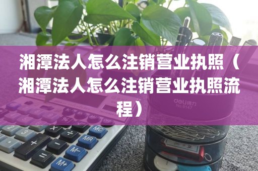 湘潭法人怎么注销营业执照(湘潭法人怎么注销营业执照流程)