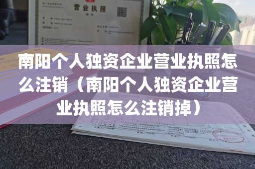 南阳个人独资企业营业执照怎么注销（南阳个人独资企业营业执照怎么注销掉）