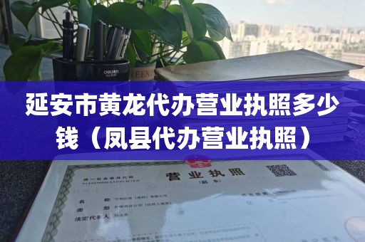 延安市黄龙代办营业执照多少钱（凤县代办营业执照）