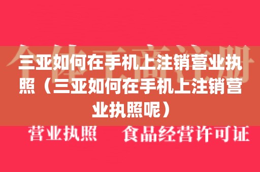 三亚如何在手机上注销营业执照（三亚如何在手机上注销营业执照呢）