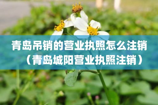 青岛吊销的营业执照怎么注销(青岛城阳营业执照注销)