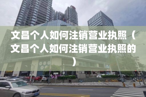 文昌个人如何注销营业执照（文昌个人如何注销营业执照的）
