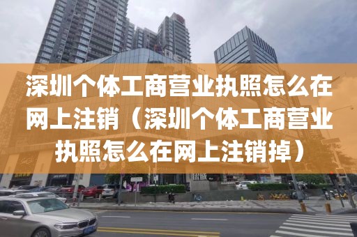 深圳个体工商营业执照怎么在网上注销（深圳个体工商营业执照怎么在网上注销掉）