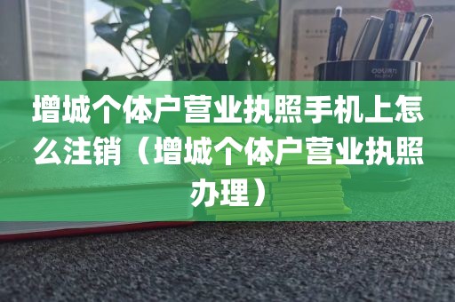 增城个体户营业执照手机上怎么注销（增城个体户营业执照办理）