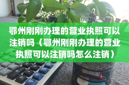 鄂州刚刚办理的营业执照可以注销吗（鄂州刚刚办理的营业执照可以注销吗怎么注销）