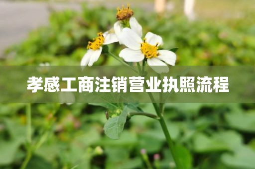 孝感工商注销营业执照流程