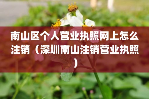 南山区个人营业执照网上怎么注销(深圳南山注销营业执照)