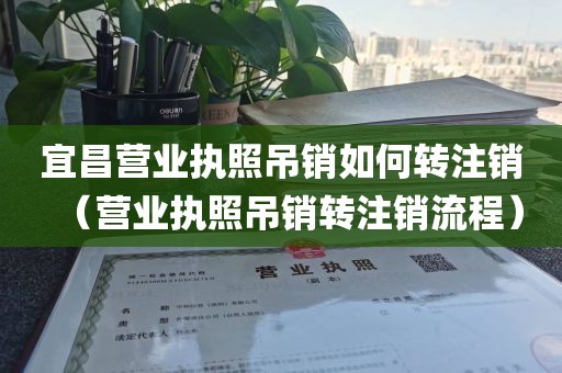 宜昌营业执照吊销如何转注销（营业执照吊销转注销流程）