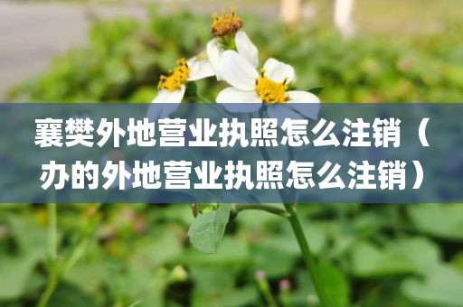 襄樊外地营业执照怎么注销（办的外地营业执照怎么注销）