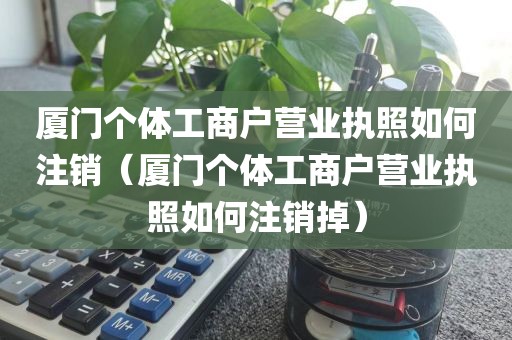 厦门个体工商户营业执照如何注销(厦门个体工商户营业执照如何注销掉)