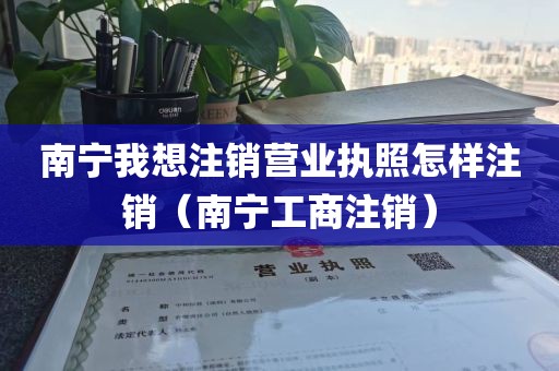 南宁我想注销营业执照怎样注销（南宁工商注销）
