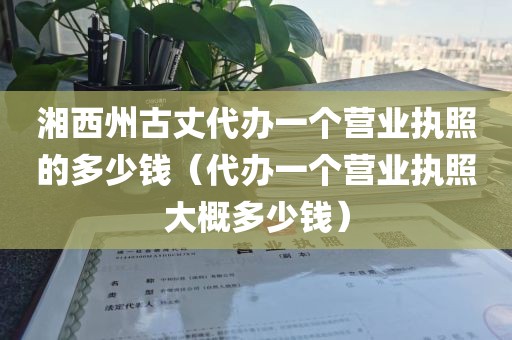 湘西州古丈代办一个营业执照的多少钱（代办一个营业执照大概多少钱）