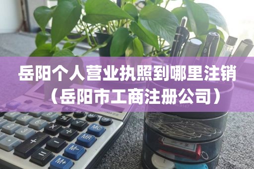 岳阳个人营业执照到哪里注销（岳阳市工商注册公司）