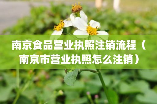 南京食品营业执照注销流程（南京市营业执照怎么注销）