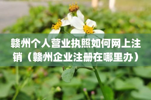 赣州个人营业执照如何网上注销(赣州企业注册在哪里办)