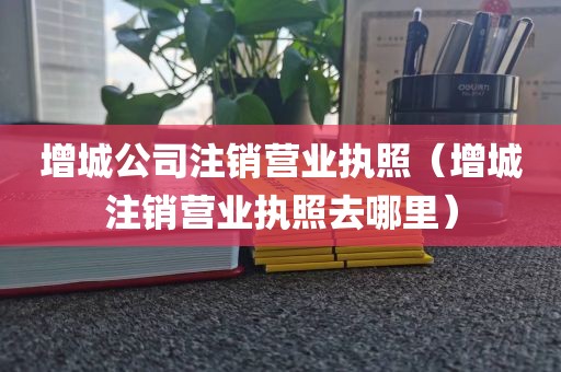 增城公司注销营业执照(增城注销营业执照去哪里)