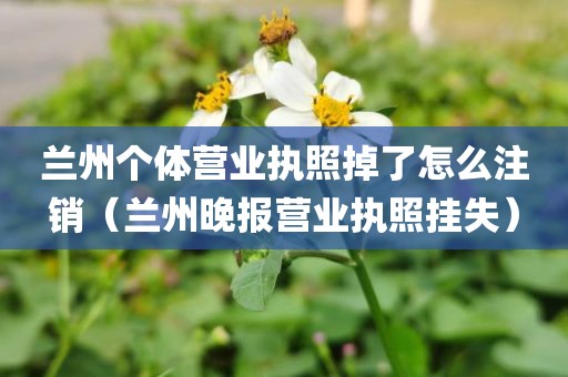 兰州个体营业执照掉了怎么注销（兰州晚报营业执照挂失）