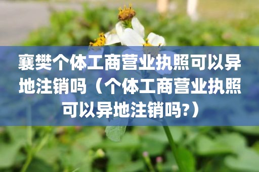 襄樊个体工商营业执照可以异地注销吗（个体工商营业执照可以异地注销吗?）