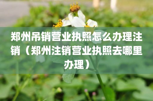 郑州吊销营业执照怎么办理注销（郑州注销营业执照去哪里办理）