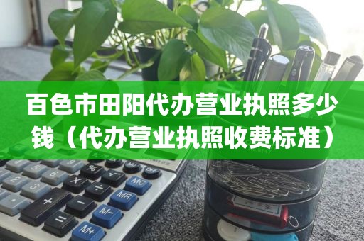 百色市田阳代办营业执照多少钱(代办营业执照收费标准)