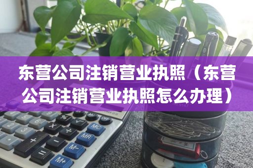 东营公司注销营业执照（东营公司注销营业执照怎么办理）