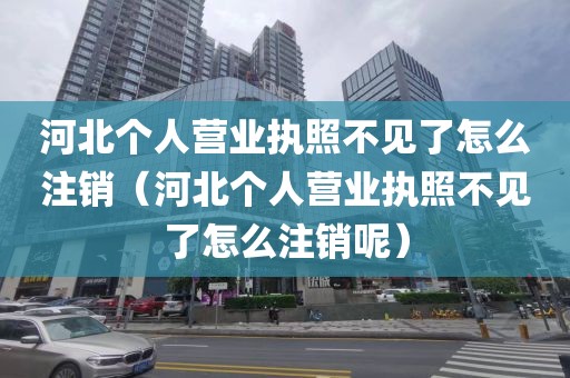 河北个人营业执照不见了怎么注销（河北个人营业执照不见了怎么注销呢）