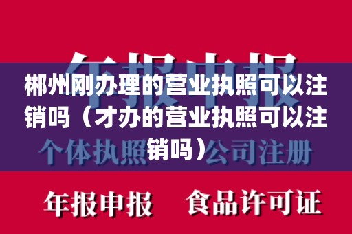 郴州刚办理的营业执照可以注销吗（才办的营业执照可以注销吗）