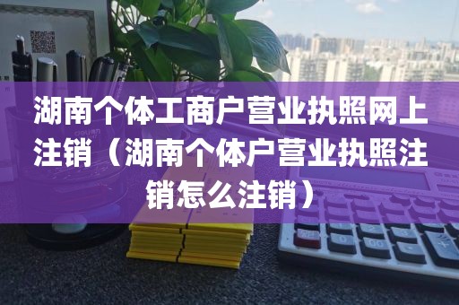 湖南个体工商户营业执照网上注销（湖南个体户营业执照注销怎么注销）