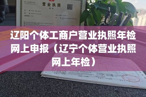 辽阳个体工商户营业执照年检网上申报(辽宁个体营业执照网上年检)