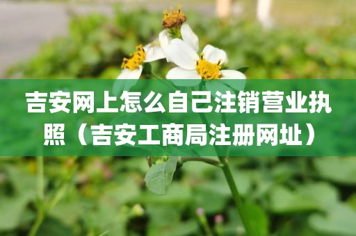 吉安网上怎么自己注销营业执照（吉安工商局注册网址）