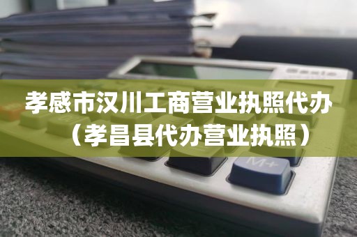 孝感市汉川工商营业执照代办（孝昌县代办营业执照）
