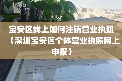 宝安区线上如何注销营业执照（深圳宝安区个体营业执照网上申报）