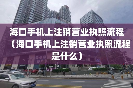 海口手机上注销营业执照流程（海口手机上注销营业执照流程是什么）