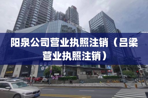 阳泉公司营业执照注销(吕梁营业执照注销)