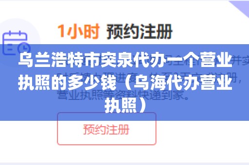 乌兰浩特市突泉代办一个营业执照的多少钱（乌海代办营业执照）