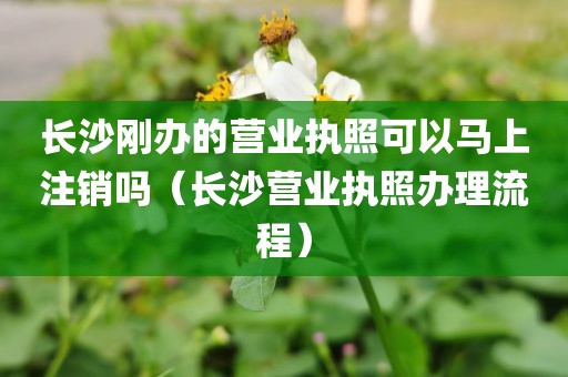 长沙刚办的营业执照可以马上注销吗（长沙营业执照办理流程）