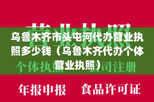 乌鲁木齐市头屯河代办营业执照多少钱（乌鲁木齐代办个体营业执照）