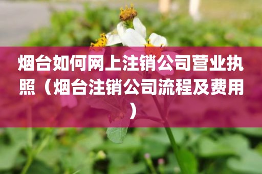 烟台如何网上注销公司营业执照(烟台注销公司流程及费用)