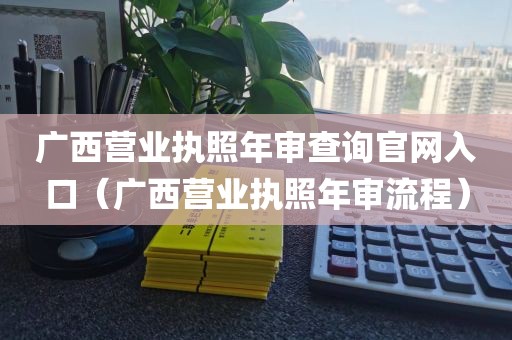 广西营业执照年审查询官网入口（广西营业执照年审流程）