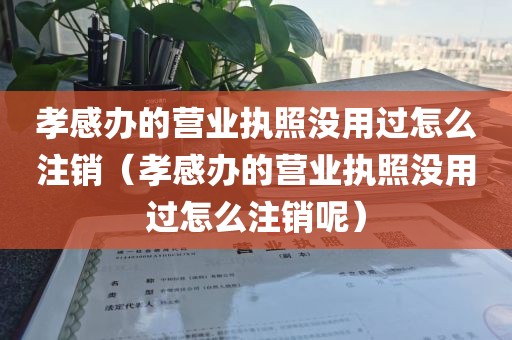 孝感办的营业执照没用过怎么注销（孝感办的营业执照没用过怎么注销呢）