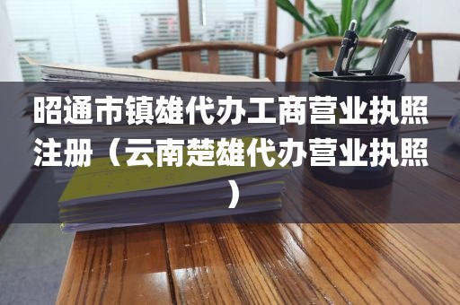 昭通市镇雄代办工商营业执照注册（云南楚雄代办营业执照）