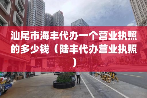 汕尾市海丰代办一个营业执照的多少钱（陆丰代办营业执照）