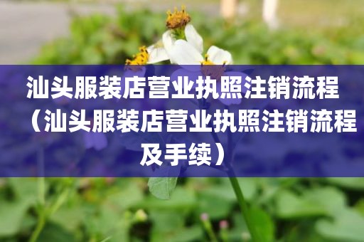 汕头服装店营业执照注销流程（汕头服装店营业执照注销流程及手续）