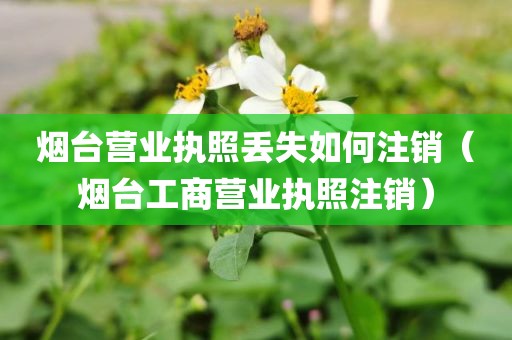 烟台营业执照丢失如何注销（烟台工商营业执照注销）