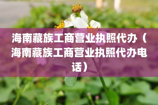 海南藏族工商营业执照代办（海南藏族工商营业执照代办电话）