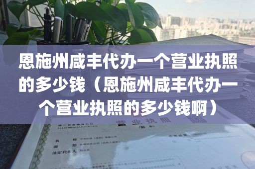 恩施州咸丰代办一个营业执照的多少钱（恩施州咸丰代办一个营业执照的多少钱啊）