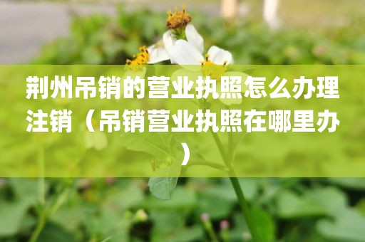 荆州吊销的营业执照怎么办理注销（吊销营业执照在哪里办）