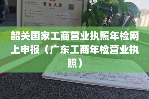 韶关国家工商营业执照年检网上申报(广东工商年检营业执照)