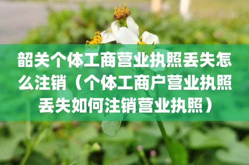 韶关个体工商营业执照丢失怎么注销（个体工商户营业执照丢失如何注销营业执照）